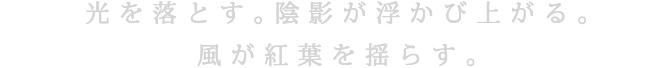 光を落とす。陰影が浮かび上がる。風が紅葉を揺らす。