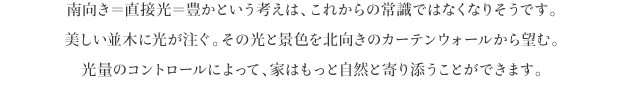 南向き＝直接光＝豊かという考えは、これからの常識ではなくなりそうです。
美しい並木に光が注ぐ。その光と景色を北向きのカーテンウォールから望む。
光量のコントロールによって、家はもっと自然と寄り添うことができます。